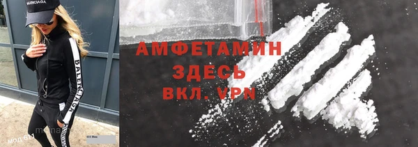 мдпв Гусев