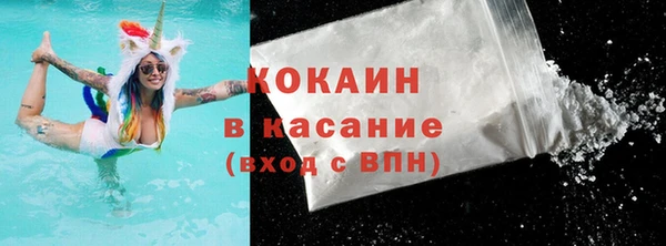 мдпв Гусев