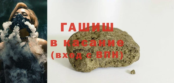 мдпв Гусев
