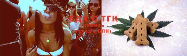 мдпв Гусев