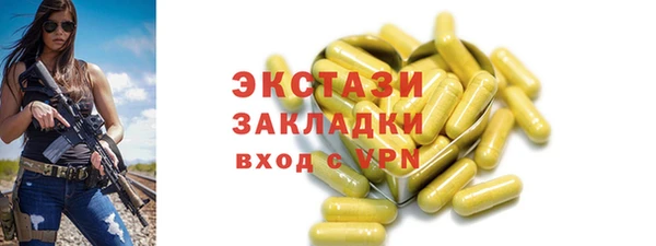 мдпв Гусев