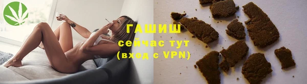 мдпв Гусев