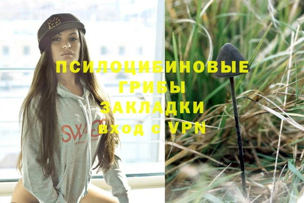тгк Гусиноозёрск