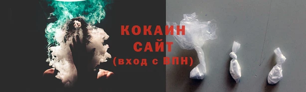 мдпв Гусев