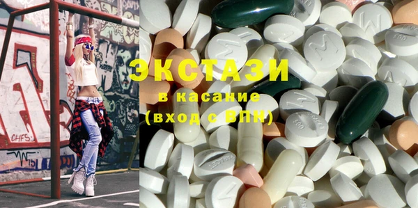 мдпв Гусев
