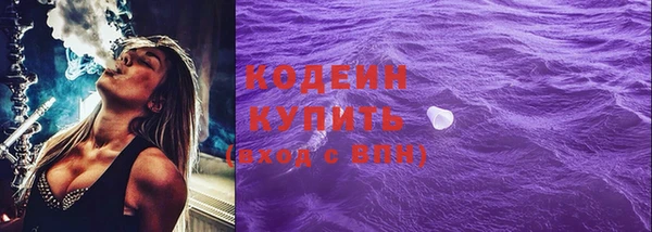 мдпв Гусев