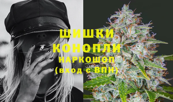 тгк Гусиноозёрск