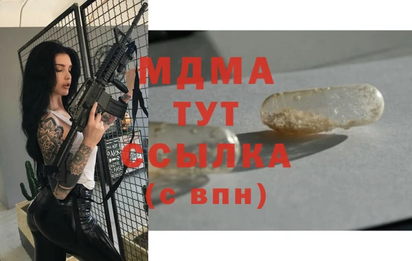 мдпв Гусев
