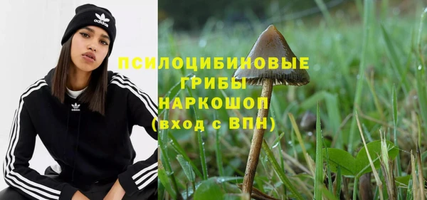 тгк Гусиноозёрск