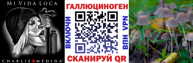 Псилоцибиновые грибы прущие грибы  что такое   mega маркетплейс  мориарти состав  Каневская 